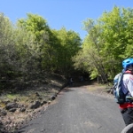 Giro Etna in MTB • <a style="font-size:0.8em;" href="http://www.flickr.com/photos/92853686@N04/47826707901/" target="_blank">View on Flickr</a>