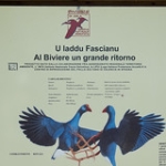 Al Biviere di Gela e al Museo • <a style="font-size:0.8em;" href="http://www.flickr.com/photos/92853686@N04/15710928309/" target="_blank">View on Flickr</a>