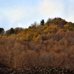 Etna / Autumn Colors Explosion / CT / Sicilia. • <a style="font-size:0.8em;" href="http://www.flickr.com/photos/85344536@N05/15874743498/" target="_blank">View on Flickr</a>